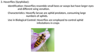 Ento-365-Identification-parasitoids-predators.pptx