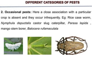 DIFFERENT CATEGORIES OF PESTS
2. Occasional pests: Here a close association with a particular
crop is absent and they occur infrequently. Eg: Rice case worm,
Nymphula depuctalis castor slug caterpillar, Parasa lepida ,
mango stem borer, Batocera rufamaculata
 