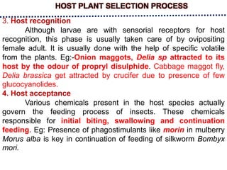 HOST PLANT SELECTION PROCESS
3. Host recognition
Although larvae are with sensorial receptors for host
recognition, this phase is usually taken care of by ovipositing
female adult. It is usually done with the help of specific volatile
from the plants. Eg:-Onion maggots, Delia sp attracted to its
host by the odour of propryl disulphide. Cabbage maggot fly,
Delia brassica get attracted by crucifer due to presence of few
glucocyanolides.
4. Host acceptance
Various chemicals present in the host species actually
govern the feeding process of insects. These chemicals
responsible for initial biting, swallowing and continuation
feeding. Eg: Presence of phagostimulants like morin in mulberry
Morus alba is key in continuation of feeding of silkworm Bombyx
mori.
 