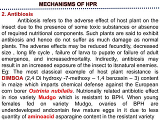 MECHANISMS OF HPR
2. Antibiosis
Antibiosis refers to the adverse effect of host plant on the
insect due to the presence of some toxic substances or absence
of required nutritional components. Such plants are said to exhibit
antibiosis and hence do not suffer as much damage as normal
plants. The adverse effects may be reduced fecundity, decreased
size , long life cycle , failure of larva to pupate or failure of adult
emergence, and increasedmortality. Indirectly, antibiosis may
result in an increased exposure of the insect to itsnatural enemies.
Eg: The most classical example of host plant resistance is
DIMBOA (2,4 Di hydroxy -7-methoxy – 1,4 benzaxin – 3) content
in maize which imparts chemical defense against the European
corn borer Ostrinia nubilalis. Nutrionally related antibiotic effect
in rice variety Mudgo which is resistant to BPH. When young
females fed on variety Mudgo, ovaries of BPH are
underdeveloped andcontain few mature eggs in it due to less
quantity of aminoacid asparagine content in the resistant variety
 