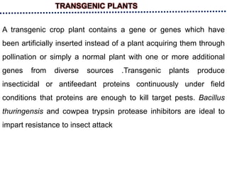 TRANSGENIC PLANTS
A transgenic crop plant contains a gene or genes which have
been artificially inserted instead of a plant acquiring them through
pollination or simply a normal plant with one or more additional
genes from diverse sources .Transgenic plants produce
insecticidal or antifeedant proteins continuously under field
conditions that proteins are enough to kill target pests. Bacillus
thuringensis and cowpea trypsin protease inhibitors are ideal to
impart resistance to insect attack
 