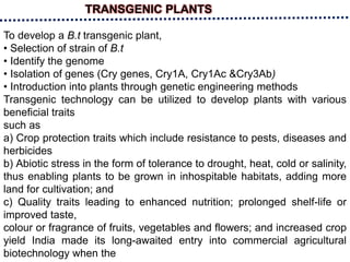 TRANSGENIC PLANTS
To develop a B.t transgenic plant,
• Selection of strain of B.t
• Identify the genome
• Isolation of genes (Cry genes, Cry1A, Cry1Ac &Cry3Ab)
• Introduction into plants through genetic engineering methods
Transgenic technology can be utilized to develop plants with various
beneficial traits
such as
a) Crop protection traits which include resistance to pests, diseases and
herbicides
b) Abiotic stress in the form of tolerance to drought, heat, cold or salinity,
thus enabling plants to be grown in inhospitable habitats, adding more
land for cultivation; and
c) Quality traits leading to enhanced nutrition; prolonged shelf-life or
improved taste,
colour or fragrance of fruits, vegetables and flowers; and increased crop
yield India made its long-awaited entry into commercial agricultural
biotechnology when the
 
