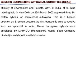 GENETIC ENGINEERING APPRAISAL COMMITTEE (GEAC)
Ministry of Environment and Forests, Govt. of India, at its 32nd
meeting held in New Delhi on 26th March 2002 approved three Bt-
cotton hybrids for commercial cultivation. This is a historic
decision as Bt-cotton became the first transgenic crop to receive
such an approval in India. These transgenic hybrids were
developed by MAHYCO (Maharashtra Hybrid Seed Company
Limited) in collaboration with Monsanto.
 