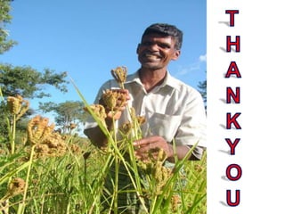 ENTO 231_L.No.6_Host Plant Resistance.ppt