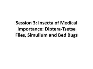 Session 3: Insecta of Medical
Importance: Diptera-Tsetse
Flies, Simulium and Bed Bugs
 