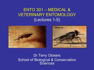 ENTO 301 –   MEDICAL & VETERINARY ENTOMOLOGY (Lectures 1-5) Dr Terry Olckers School of Biological & Conservation Sciences 