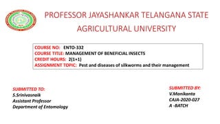PROFESSOR JAYASHANKAR TELANGANA STATE
AGRICULTURAL UNIVERSITY
COURSE NO: ENTO-332
COURSE TITLE: MANAGEMENT OF BENEFICIAL INSECTS
CREDIT HOURS: 2(1+1)
ASSIGNMENT TOPIC: Pest and diseases of silkworms and their management
SUBMITTED TO:
S.Srinivasnaik
Assistant Professor
Department of Entomology
SUBMITTED BY:
V.Manikanta
CAJA-2020-027
A -BATCH
 