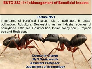 Course In-Charge
Mr.S.Srinivasnaik
Assistant Professor
Department of Entomology
Lecture No.1
Importance of beneficial insects, role of pollinators in cross-
pollination. Apiculture: Beekeeping as an industry, species of
honeybees- Little bee, Dammar bee, Indian honey bee, European
bee and Rock bees
ENTO 332 (1+1):Management of Beneficial Insects
 