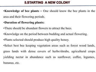 5.STARTING A NEW COLONY
•Knowledge of bee plants – One should know the bee plants in the
area and their flowering periods.
•Duration of flowering plants:
•There should be abundant flowers to attract the bees.
•Knowledge on the period between budding and actual flowering.
•Plants selected should produce high quality honey.
•Select best bee keeping vegetation areas such as forest wood lands,
grass lands with dense covers of herbs/shrubs, agricultural crops
yielding nectar in abundance such as sunflower, coffee, legumes,
bananas, etc.
 