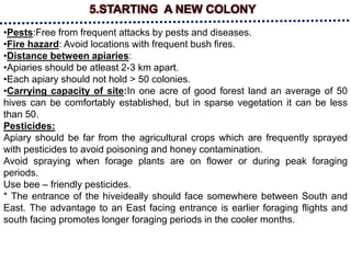 5.STARTING A NEW COLONY
•Pests:Free from frequent attacks by pests and diseases.
•Fire hazard: Avoid locations with frequent bush fires.
•Distance between apiaries:
•Apiaries should be atleast 2-3 km apart.
•Each apiary should not hold > 50 colonies.
•Carrying capacity of site:In one acre of good forest land an average of 50
hives can be comfortably established, but in sparse vegetation it can be less
than 50.
Pesticides:
Apiary should be far from the agricultural crops which are frequently sprayed
with pesticides to avoid poisoning and honey contamination.
Avoid spraying when forage plants are on flower or during peak foraging
periods.
Use bee – friendly pesticides.
* The entrance of the hiveideally should face somewhere between South and
East. The advantage to an East facing entrance is earlier foraging flights and
south facing promotes longer foraging periods in the cooler months.
 