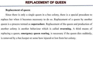 REPLACEMENT OF QUEEN
Replacement of queen:
Since there is only a single queen in a bee colony, there is a special procedure to
replace her when it becomes necessary to do so. Replacement of a queen by another
queen is a process termed as supersedure. Replacement of the queen and production of
another colony is another behaviour which is called swarming. A third means of
replacing a queen, emergency queen rearing, is necessary if the queen dies suddenly,
is removed by a bee keeper or some how injured or lost from her colony.
 
