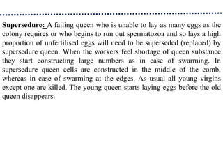 Supersedure: A failing queen who is unable to lay as many eggs as the
colony requires or who begins to run out spermatozoa and so lays a high
proportion of unfertilised eggs will need to be superseded (replaced) by
supersedure queen. When the workers feel shortage of queen substance
they start constructing large numbers as in case of swarming. In
supersedure queen cells are constructed in the middle of the comb,
whereas in case of swarming at the edges. As usual all young virgins
except one are killed. The young queen starts laying eggs before the old
queen disappears.
 