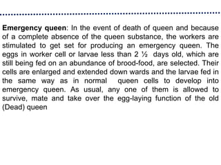 Emergency queen: In the event of death of queen and because
of a complete absence of the queen substance, the workers are
stimulated to get set for producing an emergency queen. The
eggs in worker cell or larvae less than 2 ½ days old, which are
still being fed on an abundance of brood-food, are selected. Their
cells are enlarged and extended down wards and the larvae fed in
the same way as in normal queen cells to develop into
emergency queen. As usual, any one of them is allowed to
survive, mate and take over the egg-laying function of the old
(Dead) queen
 