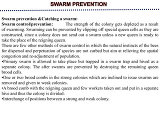 SWARM PREVENTION
Swarm prevention &Catching a swarm:
Swarm control/prevention: The strength of the colony gets depleted as a result
of swarming. Swarming can be prevented by clipping off special queen cells as they are
constructed, since a colony does not send out a swarm unless a new queen is ready to
take the place of the reigning queen.
There are few other methods of swarm control in which the natural instincts of the bees
for dispersal and perpetuation of species are not curbed but aim at relieving the spatial
congestion and re-adjustment of population.
•Primary swarm is allowed to take place but trapped in a swarm trap and hived as a
separate colony. The after swarms are prevented by destroying the remaining queen
brood cells.
•One or two brood combs in the strong colonies which are inclined to issue swarms are
removed and given to weak colonies.
•A brood comb with the reigning queen and few workers taken out and put in a separate
hive and thus the colony is divided.
•Interchange of positions between a strong and weak colony.
 