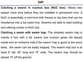 CAT
Catching a swarm in nucleus box (NUC box): Allows bee
keeper more time before they are installed in permanent hive. A
NUC is essentially a mini-hive with frames or top bars that can be
transferred into a full sized hive. Swarms are able to start building
and utilizing combs in NUC box.
Catching a swam with swam trap: The simplest swarm trap is
merely a box with a lid, swarm lure (Lemon grass oil) placed
inside and an entrance hole.If the swarm trap is good to the scout
bees, the swam can be easily trapped. The swarm trap box is at
least 9” tall, 20” long and 10” wide. The swarm trap should be
placed 10’ off the ground.
 