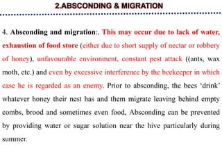 2.ABSCONDING & MIGRATION
4. Absconding and migration:. This may occur due to lack of water,
exhaustion of food store (either due to short supply of nectar or robbery
of honey), unfavourable environment, constant pest attack ((ants, wax
moth, etc.) and even by excessive interference by the beekeeper in which
case he is regarded as an enemy. Prior to absconding, the bees ‘drink’
whatever honey their nest has and them migrate leaving behind empty
combs, brood and sometimes even food, Absconding can be prevented
by providing water or sugar solution near the hive particularly during
summer.
 