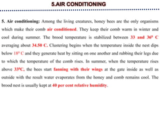 5.AIR CONDITIONING
5. Air conditioning: Among the living creatures, honey bees are the only organisms
which make their comb air conditioned. They keep their comb warm in winter and
cool during summer. The brood temperature is stabilized between 33 and 360 C
averaging about 34.50 C. Clustering begins when the temperature inside the nest dips
below 180 C and they generate heat by sitting on one another and rubbing their legs due
to which the temperature of the comb rises. In summer, when the temperature rises
above 330C, the bees start fanning with their wings at the gate inside as well as
outside with the result water evaporates from the honey and comb remains cool. The
brood nest is usually kept at 40 per cent relative humidity.
 