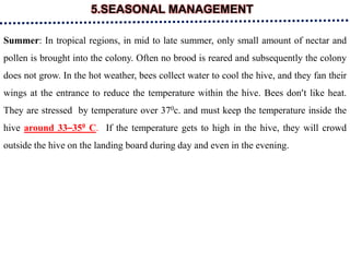 5.SEASONAL MANAGEMENT
Summer: In tropical regions, in mid to late summer, only small amount of nectar and
pollen is brought into the colony. Often no brood is reared and subsequently the colony
does not grow. In the hot weather, bees collect water to cool the hive, and they fan their
wings at the entrance to reduce the temperature within the hive. Bees don’t like heat.
They are stressed by temperature over 370c. and must keep the temperature inside the
hive around 33–350 C. If the temperature gets to high in the hive, they will crowd
outside the hive on the landing board during day and even in the evening.
 