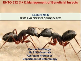 Course In-Charge
Mr.S.Srinivasnaik
Assistant Professor
Department of Entomology
Lecture No.6
PESTS AND DISEASES OF HONEY BEES
ENTO 332 (1+1):Management of Beneficial Insects
 