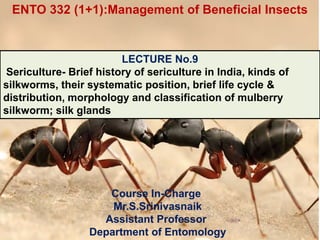 Course In-Charge
Mr.S.Srinivasnaik
Assistant Professor
Department of Entomology
LECTURE No.9
Sericulture- Brief history of sericulture in India, kinds of
silkworms, their systematic position, brief life cycle &
distribution, morphology and classification of mulberry
silkworm; silk glands
ENTO 332 (1+1):Management of Beneficial Insects
 
