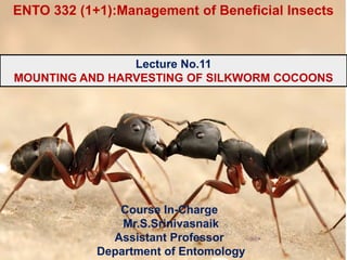 Course In-Charge
Mr.S.Srinivasnaik
Assistant Professor
Department of Entomology
Lecture No.11
MOUNTING AND HARVESTING OF SILKWORM COCOONS
ENTO 332 (1+1):Management of Beneficial Insects
 