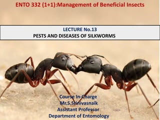 Course In-Charge
Mr.S.Srinivasnaik
Assistant Professor
Department of Entomology
LECTURE No.13
PESTS AND DISEASES OF SILKWORMS
ENTO 332 (1+1):Management of Beneficial Insects
 
