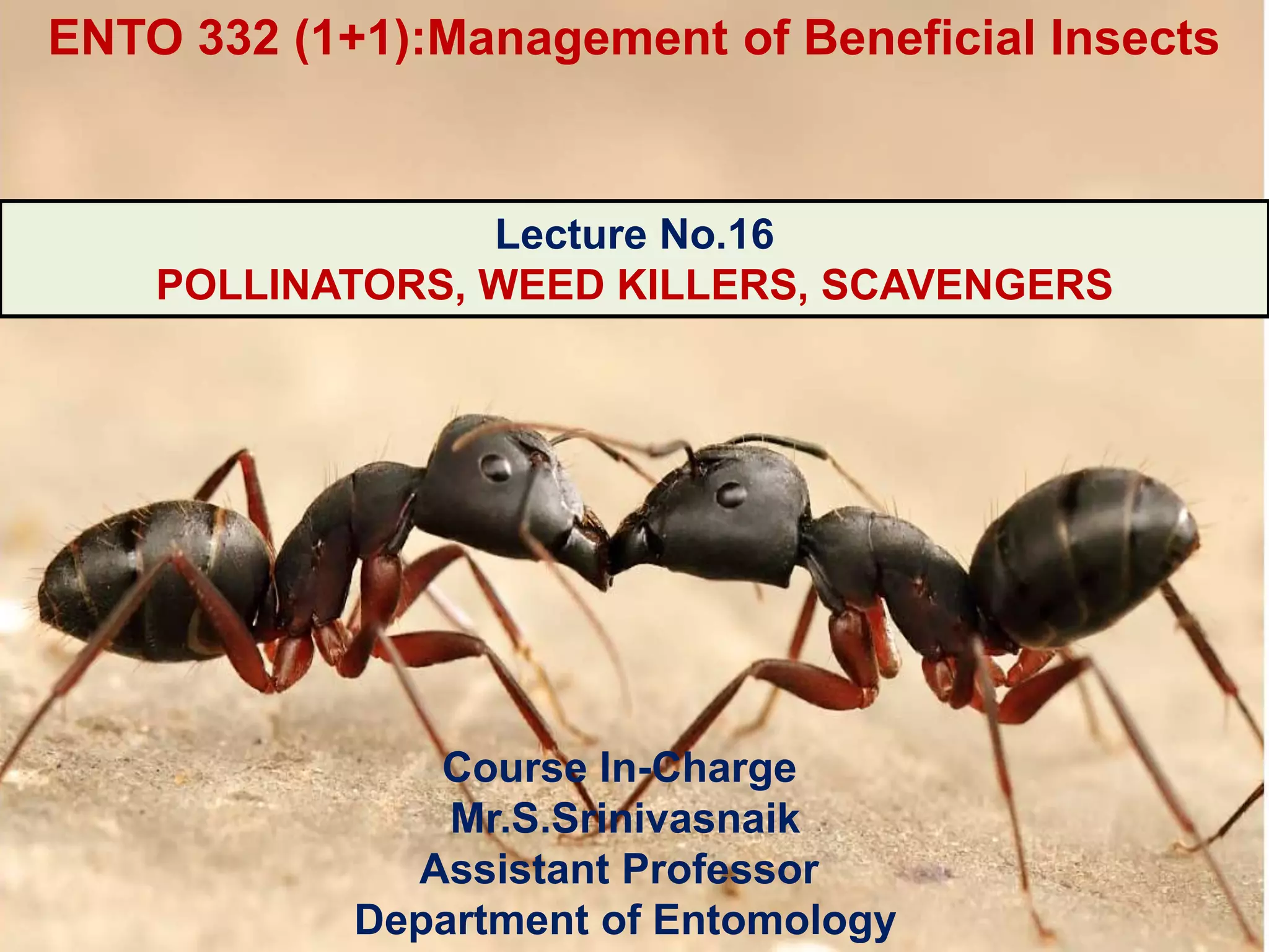 ENTO 332_Lec No.16Pollinators, Weed Killers and Scavengers.pptx
