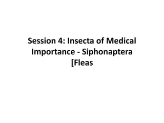 Session 4: Insecta of Medical
Importance - Siphonaptera
[Fleas
 