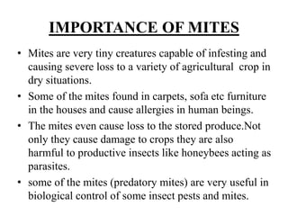 IMPORTANCE OF MITES
• Mites are very tiny creatures capable of infesting and
causing severe loss to a variety of agricultural crop in
dry situations.
• Some of the mites found in carpets, sofa etc furniture
in the houses and cause allergies in human beings.
• The mites even cause loss to the stored produce.Not
only they cause damage to crops they are also
harmful to productive insects like honeybees acting as
parasites.
• some of the mites (predatory mites) are very useful in
biological control of some insect pests and mites.
 