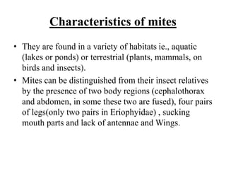 Characteristics of mites
• They are found in a variety of habitats ie., aquatic
(lakes or ponds) or terrestrial (plants, mammals, on
birds and insects).
• Mites can be distinguished from their insect relatives
by the presence of two body regions (cephalothorax
and abdomen, in some these two are fused), four pairs
of legs(only two pairs in Eriophyidae) , sucking
mouth parts and lack of antennae and Wings.
 