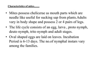 Characteristics of mites……
• Mites possess chelicerae as mouth parts which are
needle like useful for sucking sap from plants.Adults
vary in body shape and possess 2 or 4 pairs of legs.
• The life cycle consists of an egg, larva , proto nymph,
deuto nymph, trito nymph and adult stages.
• Oval shaped eggs are laid on leaves. Incubation
Period is 6-13 days. The no.of nymphal instars vary
among the families.
 