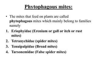 Phytophagous mites:
• The mites that feed on plants are called
phytophagous mites which mainly belong to families
namely
1. Eriophyidae (Erenium or gall or itch or rust
mites)
2. Tetranychidae (spider mites)
3. Tenuipalpidae (Broad mites)
4. Tarsonemidae (False spider mites)
 