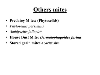 Others mites
• Predatoy Mites: (Phytoseiids)
• Phytoseilus persimilis
• Amblyseius fallacies
• House Dust Mite: Dermatophagoides farina
• Stored grain mite: Acarus siro
 