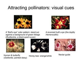 PlantInteractions.pdf