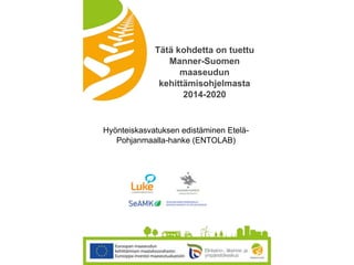 © Luonnonvarakeskus
Tätä kohdetta on tuettu
Manner-Suomen
maaseudun
kehittämisohjelmasta
2014-2020
Hyönteiskasvatuksen edistäminen Etelä-
Pohjanmaalla-hanke (ENTOLAB)
 