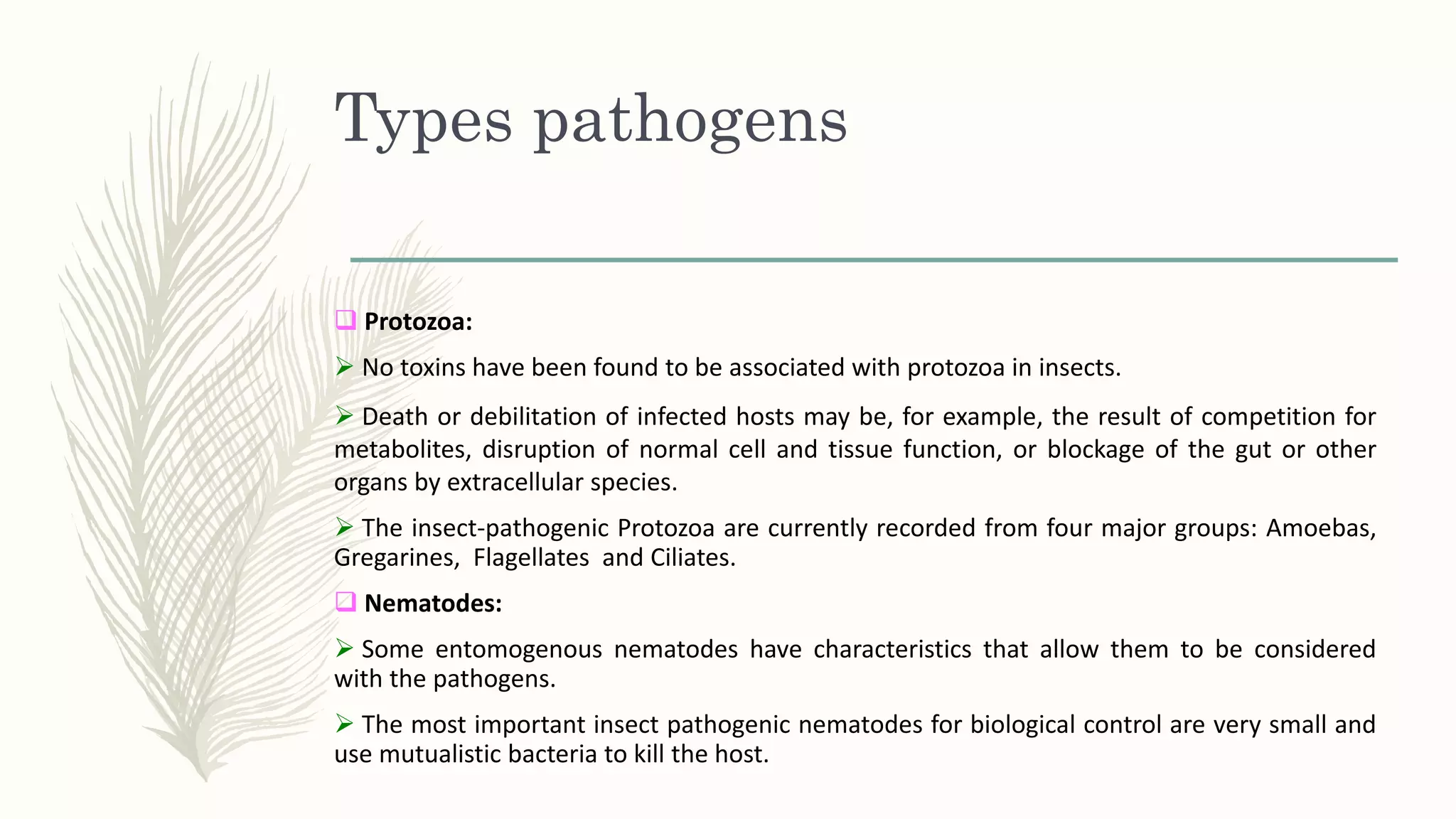 Entomopathogenic protozoa and spiroplasma | PPTX