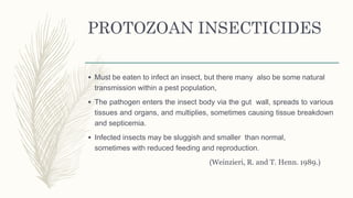 Protozoan Insecticide Entomopathogenic protozoa and spiroplasma | PPTX