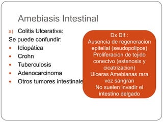 Amebiasis Intestinal
a) Colitis Ulcerativa:
                                       Dx Dif.:
Se puede confundir:          Ausencia de regeneracion
 Idiopática                  epitelial (seudopolipos)
 Crohn                        Proliferacion de tejido
                               conectvo (estenosis y
 Tuberculosis
                                    cicatrizacion)
 Adenocarcinoma              Ulceras Amebianas rara
 Otros tumores intestinales        vez sangran
                                No suelen invadir el
                                 intestino delgado
 
