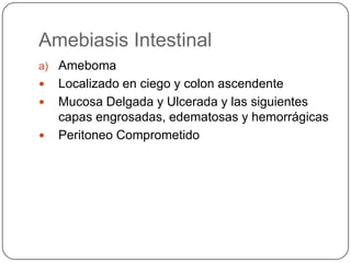 Amebiasis Intestinal
a) Ameboma
   Localizado en ciego y colon ascendente
   Mucosa Delgada y Ulcerada y las siguientes
    capas engrosadas, edematosas y hemorrágicas
   Peritoneo Comprometido
 