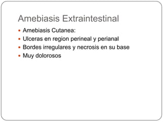 Amebiasis Extraintestinal
 Amebiasis Cutanea:
 Ulceras en region perineal y perianal
 Bordes irregulares y necrosis en su base
 Muy dolorosos
 