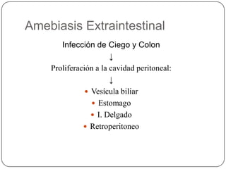 Amebiasis Extraintestinal
       Infección de Ciego y Colon
                       ↓
    Proliferación a la cavidad peritoneal:
                       ↓
                Vesícula biliar
                  Estomago
                  I. Delgado
               Retroperitoneo
 