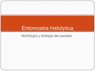 Entomoeba histolytica
Morfología y biología del parásito
 