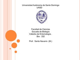 Universidad Autónoma de Santo Domingo  		UASD			 Facultad de Ciencias Escuela de Biología Cátedra de Entomología . Bio-  332 Prof.  Santo Navarro  (M.) 