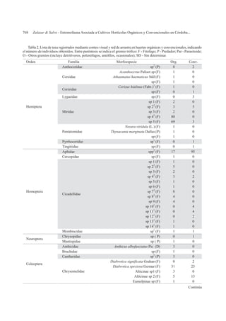 768 Zalazar & Salvo - Entomofauna Asociada a Cultivos Hortícolas Orgánicos y Convencionales en Córdoba...
Continúa
Tabla 2. Lista de taxa registrados mediante conteo visual y red de arrastre en huertas orgánicas y convencionales, indicando
Orden Familia Morfoespecie Org. Conv.
Anthocoridae sp2
(P) 8 2
Acanthocerus Palisot sp (F) 1 0
Athaumatus haematicus Stål (F) 1 0Coreidae
sp (F) 1 0
Corizus hialinus (Fabr.)1
(F) 1 0
Corizidae
sp (F) 0 1
Lygaeidae sp (F) 0 3
sp 1 (F) 2 0
sp 22
(F) 3 5
sp 3 (F) 2 0
sp 42
(F) 80 0
Miridae
sp 5 (F) 69 3
Nezara viridula (L.) (F) 1 0
Thynacanta marginata Dallas (P) 1 0Pentatomidae
sp (F) 1 0
Pyrrhocoridae sp1
(F) 0 1
Hemiptera
Tingitiidae sp (F) 0 1
Aphidae spp2
(F) 17 95
Cercopidae sp (F) 1 0
sp 1 (F) 1 0
sp 22
(F) 5 0
sp 3 (F) 2 0
sp 42
(F) 3 2
sp 5 (F) 1 0
sp 6 (F) 1 0
sp 72
(F) 8 0
sp 82
(F) 4 0
sp 9 (F) 4 0
sp 101
(F) 0 4
sp 111
(F) 0 4
sp 121
(F) 0 2
sp 131
(F) 1 0
Cicadellidae
sp 141
(F) 1 0
Homoptera
Membracidae sp1
(F) 1 1
Chrysopidae sp ( P) 0 1
Neuroptera
Mantispidae sp ( P) 1 0
Anthicidae Anthicus albofasciatus Pic (D) 3 0
Bruchidae sp (F) 1 0
Cantharidae sp2
(P) 3 0
Diabrotica significata Grahan (F) 0 2
Chrysomelidae
Diabrotica speciosa Germar (F) 31 25
Alticinae sp1 (F) 3 0
Alticinae sp 2 (F) 5 13
Coleoptera
Eumolpinae sp (F) 1 0
 