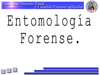 Entomología Forense. 