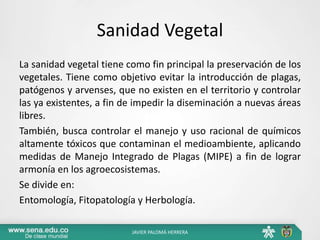 Sanidad Vegetal
La sanidad vegetal tiene como fin principal la preservación de los
vegetales. Tiene como objetivo evitar la introducción de plagas,
patógenos y arvenses, que no existen en el territorio y controlar
las ya existentes, a fin de impedir la diseminación a nuevas áreas
libres.
También, busca controlar el manejo y uso racional de químicos
altamente tóxicos que contaminan el medioambiente, aplicando
medidas de Manejo Integrado de Plagas (MIPE) a fin de lograr
armonía en los agroecosistemas.
Se divide en:
Entomología, Fitopatología y Herbología.
JAVIER PALOMÁ HERRERA
 