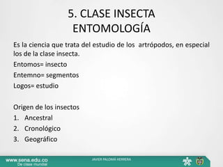 5. CLASE INSECTA
ENTOMOLOGÍA
Es la ciencia que trata del estudio de los artrópodos, en especial
los de la clase insecta.
Entomos= insecto
Entemno= segmentos
Logos= estudio
Origen de los insectos
1. Ancestral
2. Cronológico
3. Geográfico
JAVIER PALOMÁ HERRERA
 