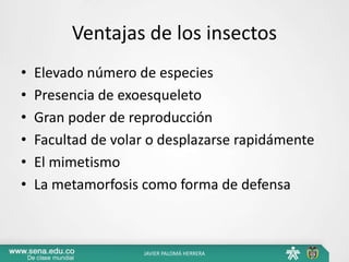 Ventajas de los insectos
• Elevado número de especies
• Presencia de exoesqueleto
• Gran poder de reproducción
• Facultad de volar o desplazarse rapidámente
• El mimetismo
• La metamorfosis como forma de defensa
JAVIER PALOMÁ HERRERA
 