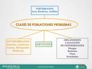 VERTEBRADOS
Aves, Roedores, Ardillas
CLASES DE POBLACIONES PROBLEMAS
INVERTEBRADOS
Insectos, crustáceos
Ácaros, Miriápodos
Moluscos
ORGANISMOS
CAUSANTES
DE ENFERMEDADES
Hongos
Bacterias
Virus
Nemátodos
ARVENSES
JAVIER PALOMÁ HERRERA
 