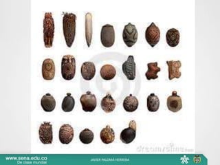 JAVIER PALOMÁ HERRERA
 